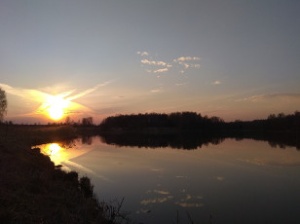 Озеро в лесу